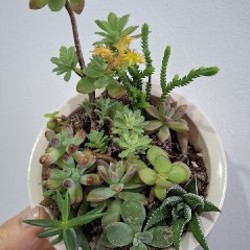 Кружка - фото 9