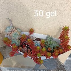 Цветы - фото 4