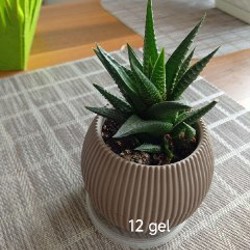 Цветы - фото 5