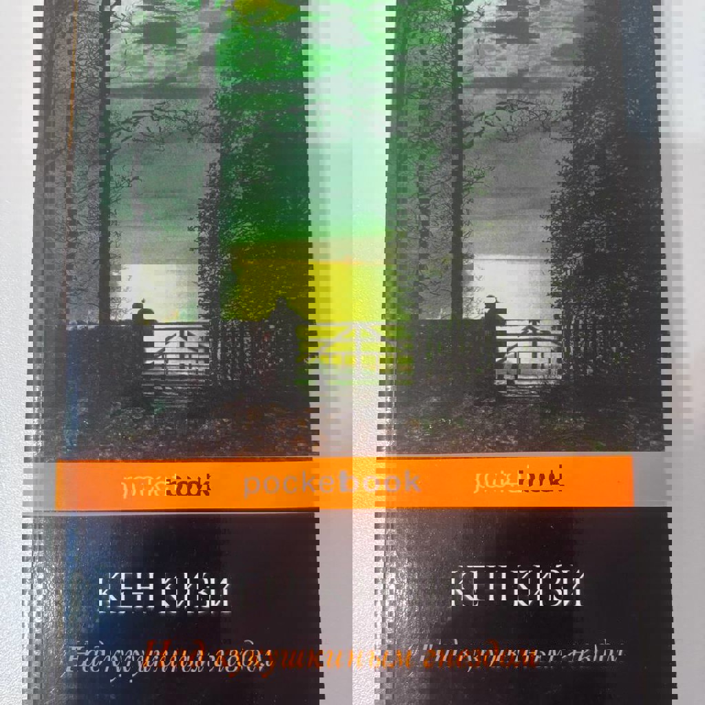 Над кукушкиным гнездом