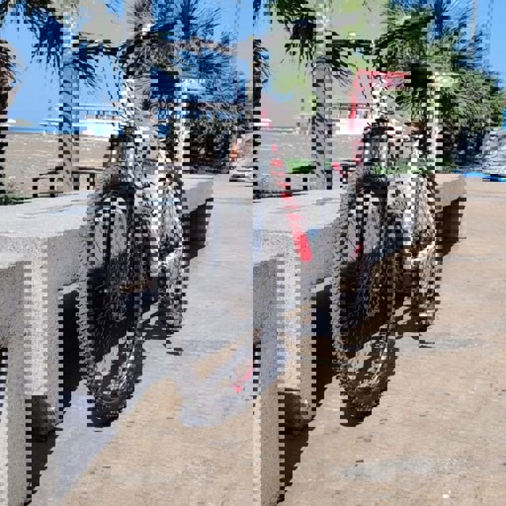 Велосипед Ардис