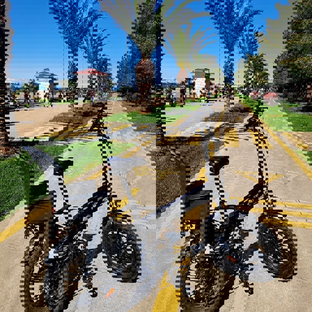 Элекровелосипед семейный