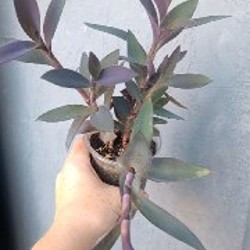 Жёлтая - фото 6