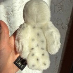 Сова из Гарри Поттера - фото 2