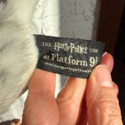 Сова из Гарри Поттера - фото 3