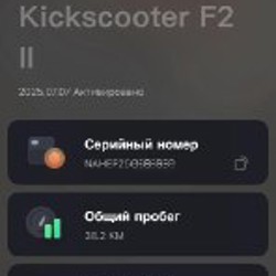 SEGWAY NINEBOT Kickstarter F2 II - фото 2
