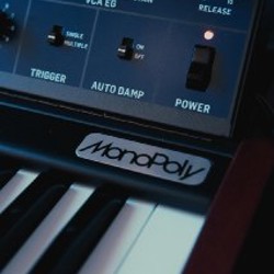 Behringer MONOPOLY - фото 3