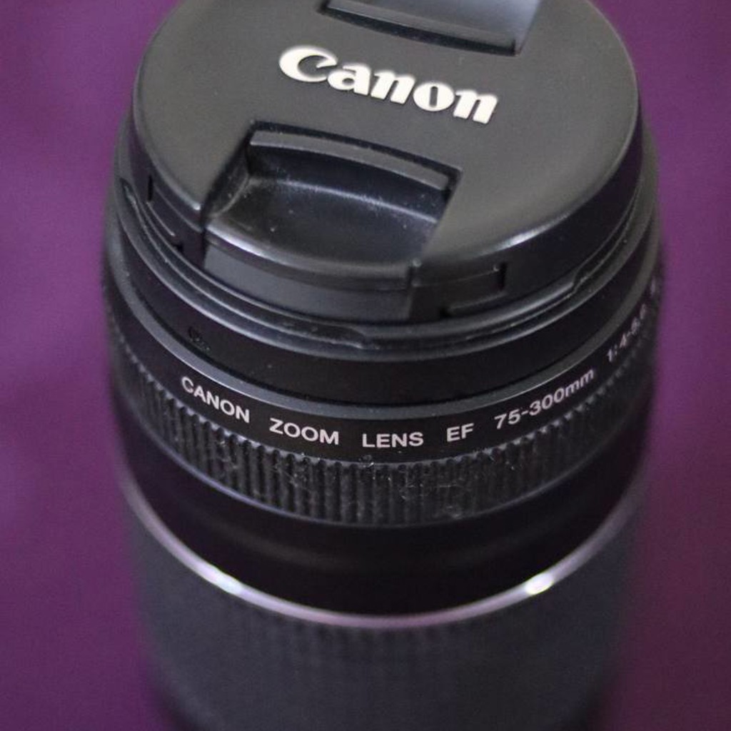 Объектив Canon EF 75-300mm
