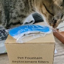 Калимба деревянная с самоучителем - фото 4