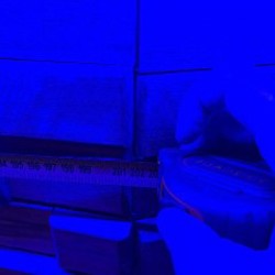 Барная стойка - фото 3