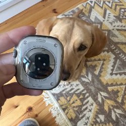 Apple Watch Ultra 1 - фото 3