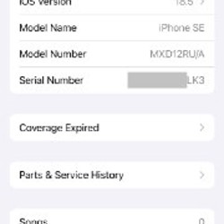 IPhone SE 2020 - фото 5