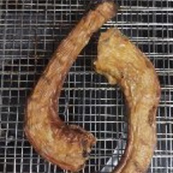 Почки - фото 2