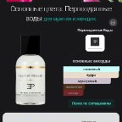 Шейх - фото 2