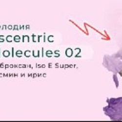 Шейх - фото 4