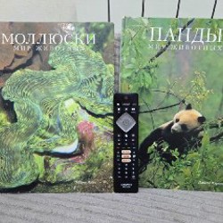 Диадема/гребень - фото 4