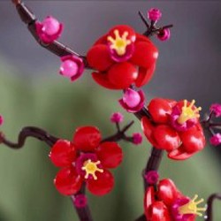 Набор конструктора Lego Botanicals - фото 3