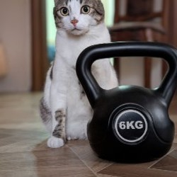 Гироболл - фото 5