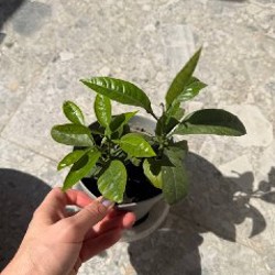 Безопасная гирлянда - фото 1