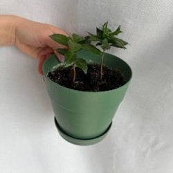 Безопасная гирлянда - фото 2