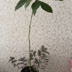 Безопасная гирлянда - фото 3