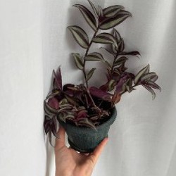 Безопасная гирлянда - фото 4