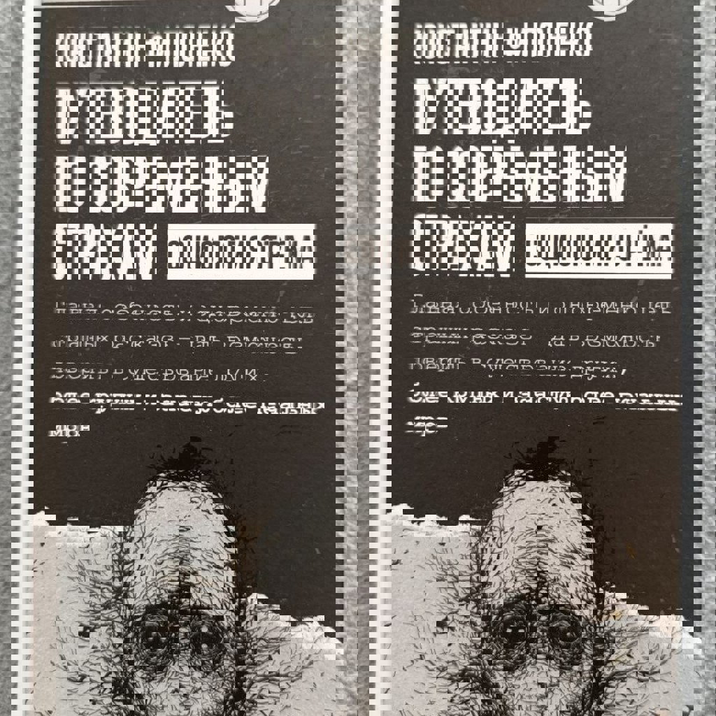 Путеводитель по современным страхам: социология стрёма