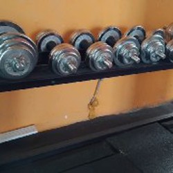 Скамья скотта - фото 7