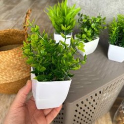 Искусственные суккуленты - фото 2