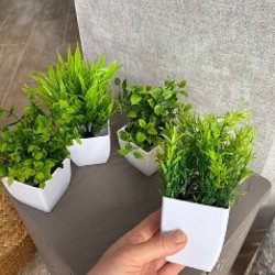 Искусственные суккуленты - фото 3