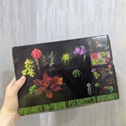 The Botanical Collection | Succulents - фото 2