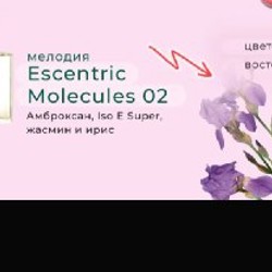 Шейх - фото 4