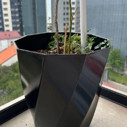 Электрическая сушилка для обуви - фото 3