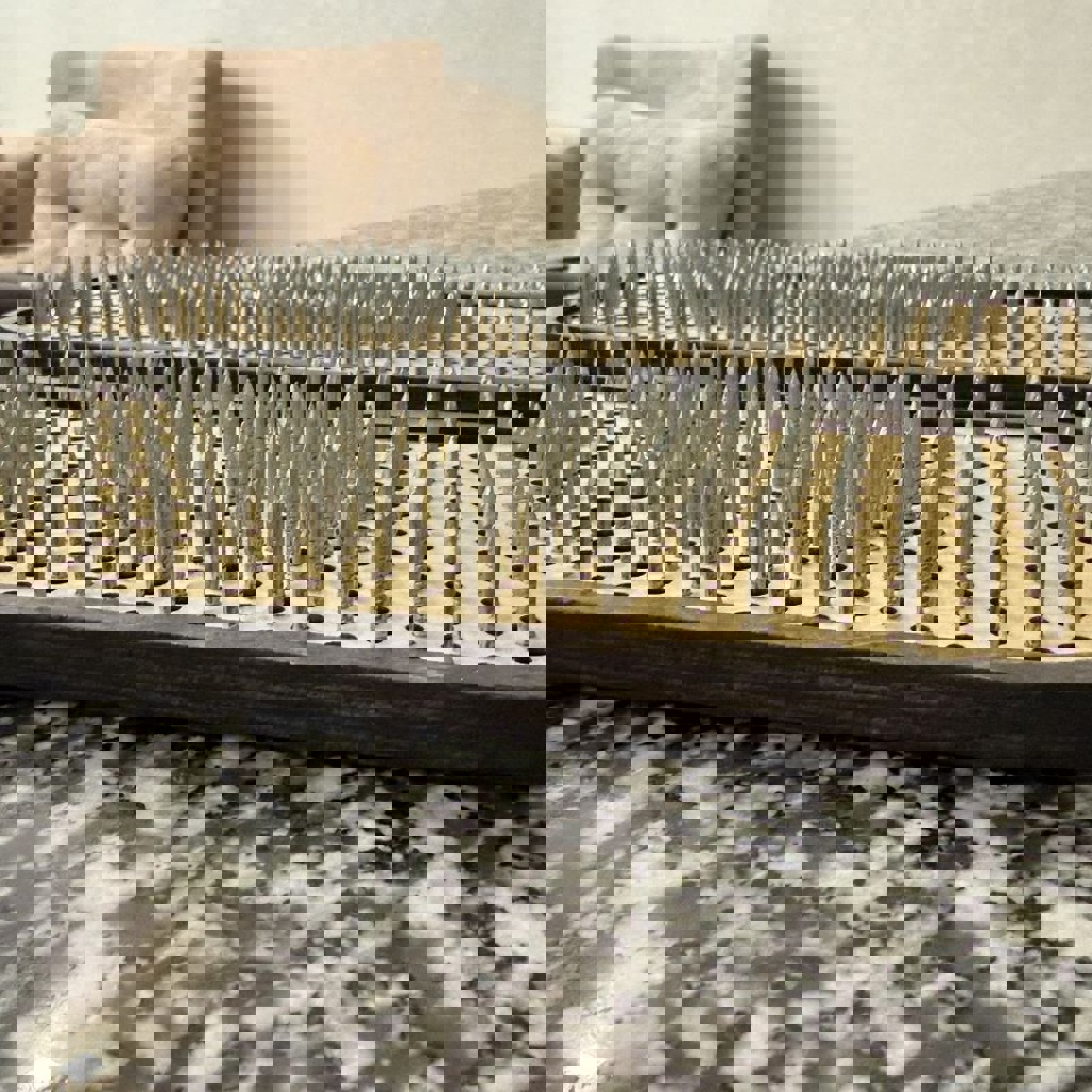 Дегидратор сушилка