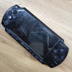 PSP 2008 - фото 2