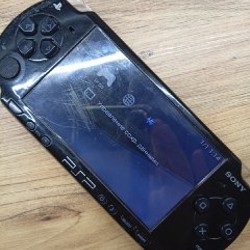 PSP 2008 - фото 5