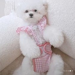 Прокладки и трусики для собак - фото 4