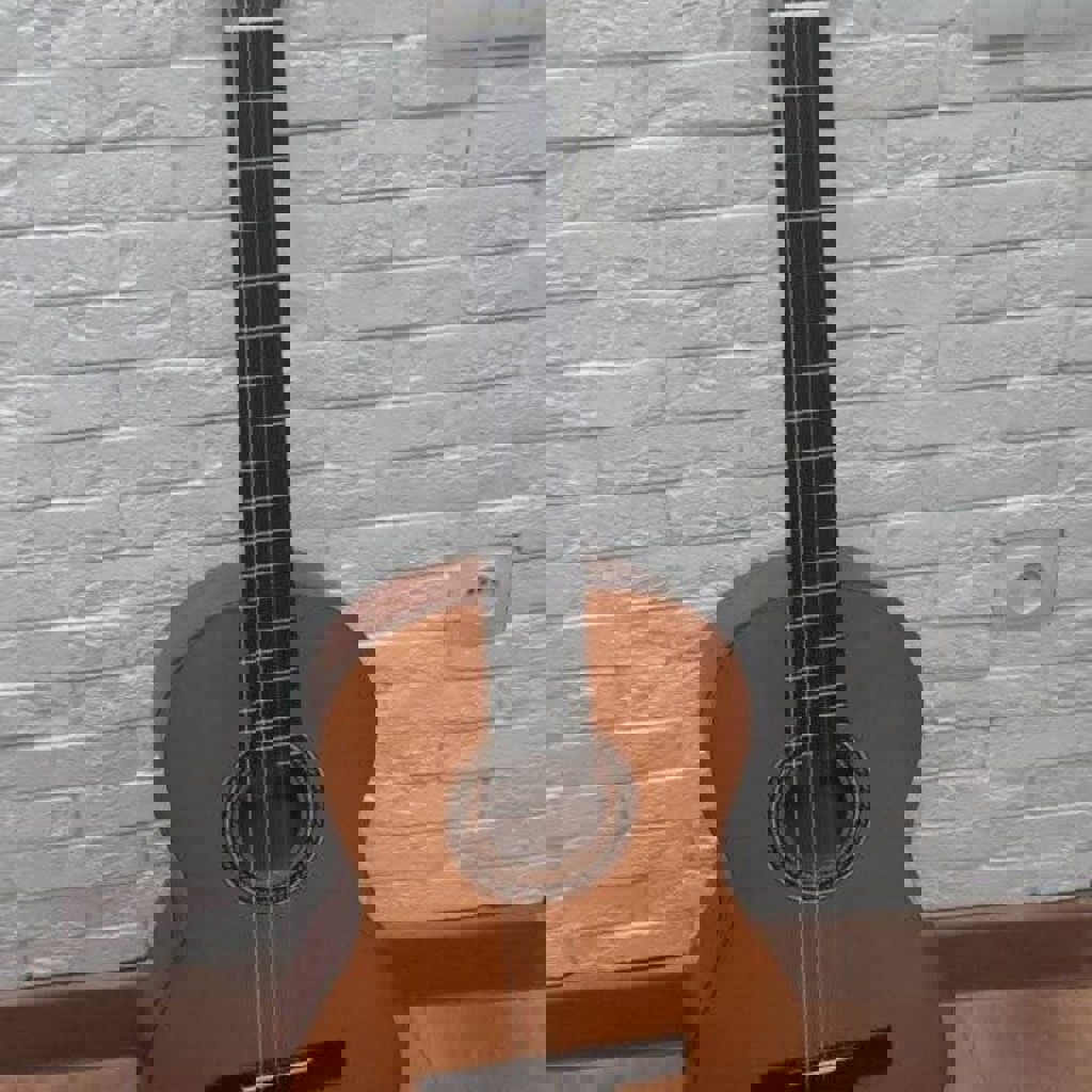 Гитара Valencia