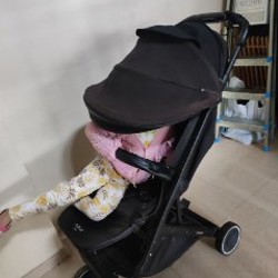Коляска anex-air - фото 2