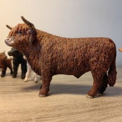 Галловейский теленок - фото 2