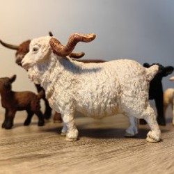 Галловейский теленок - фото 5