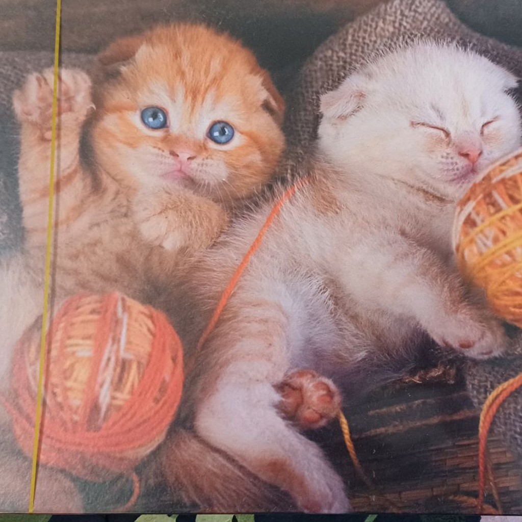 Алмазная мозаика
