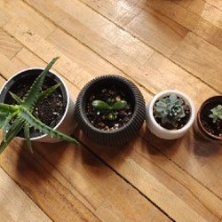 Кружки - фото 1