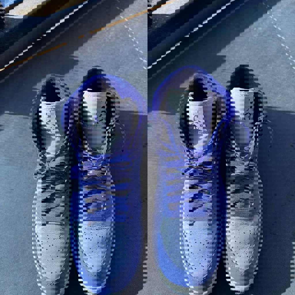 Air Jordan 1 Mid «Action Grape»