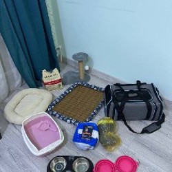 Набор стационарных мисок - фото 1