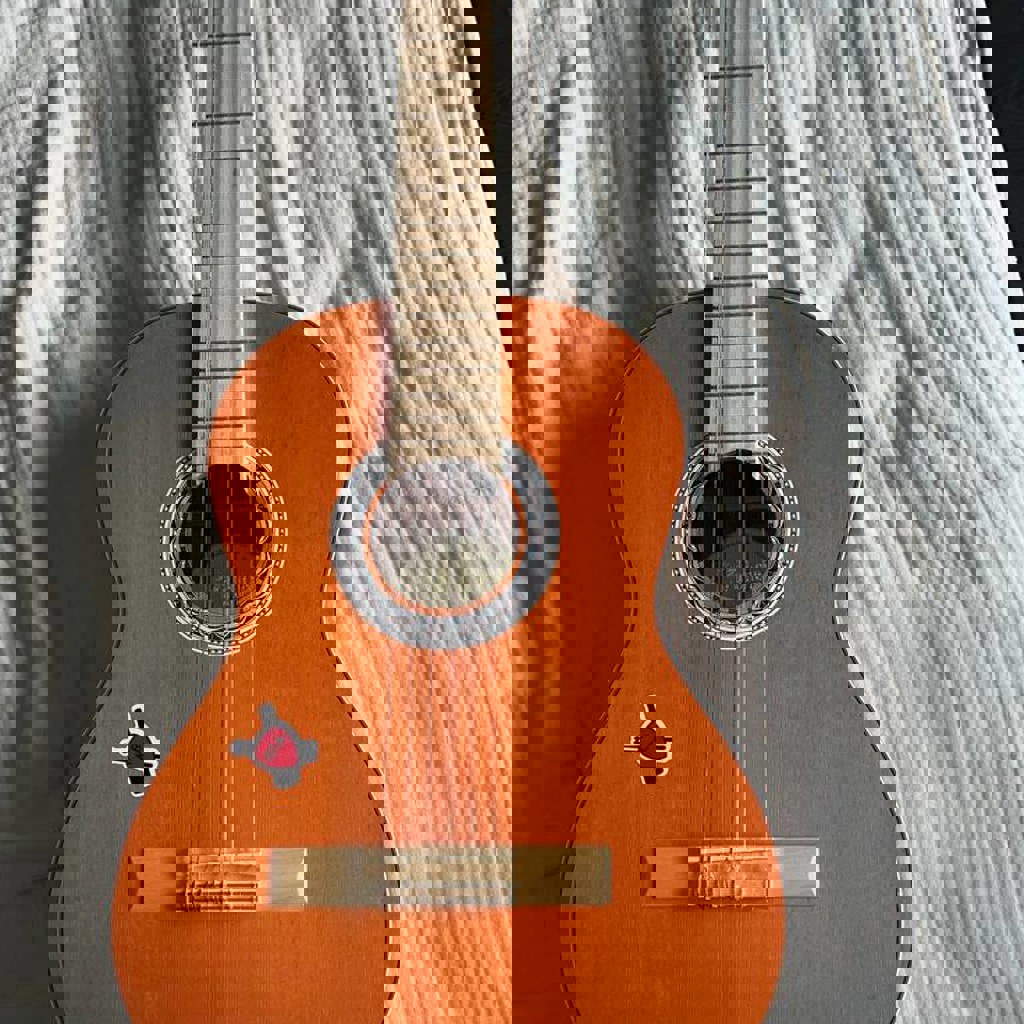 Гитара Valencia