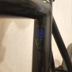 Fuji feather 2019 - фото 3
