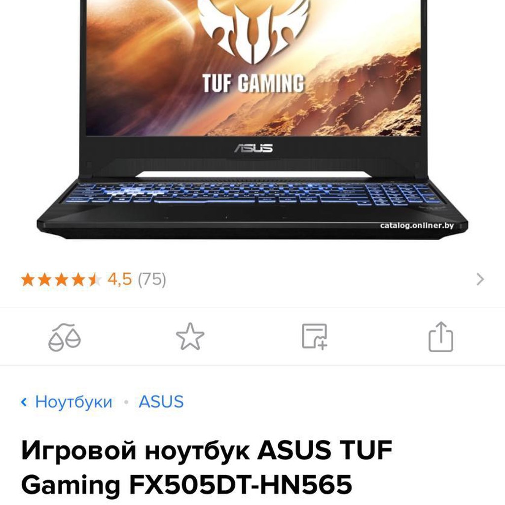 Ноутбук ASUS FX505DT-HN565