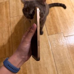 IPhone 16 Pro Max - фото 2