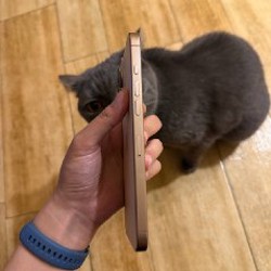 IPhone 16 Pro Max - фото 4